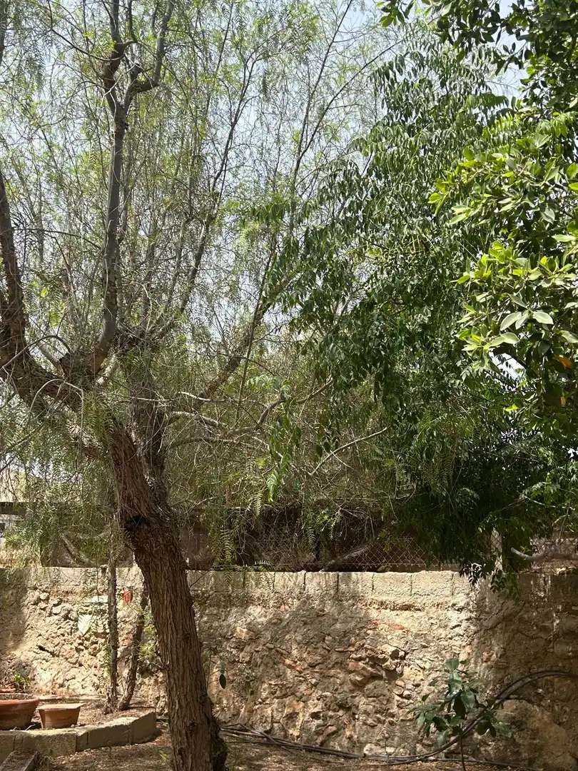 Casa o xalet en venda en San Vicente del Raspeig / Sant Vicent del Raspeig amb Aire condicionat, Calefacció i Jardí privat