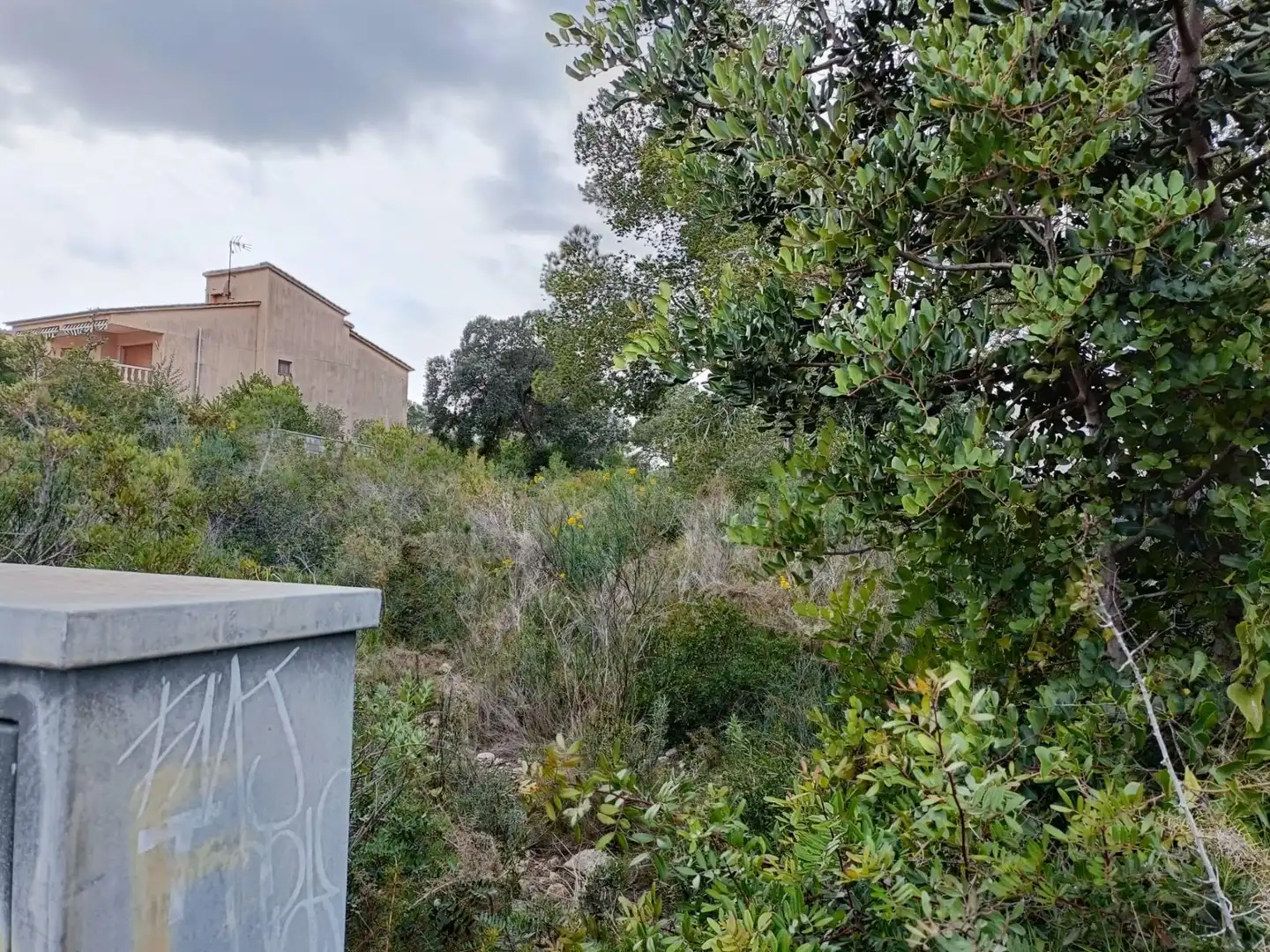 Terreny residencial en venda a Mas Borràs - Coto del Rey, imagen 7