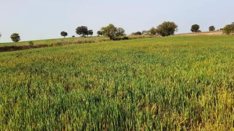 Foto 5 de Residencial en venda a Área Rural, Zamora
