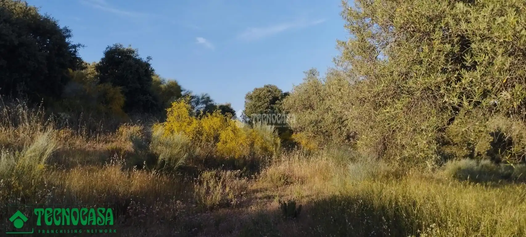 Terreni e lotti in vendita a Méntrida