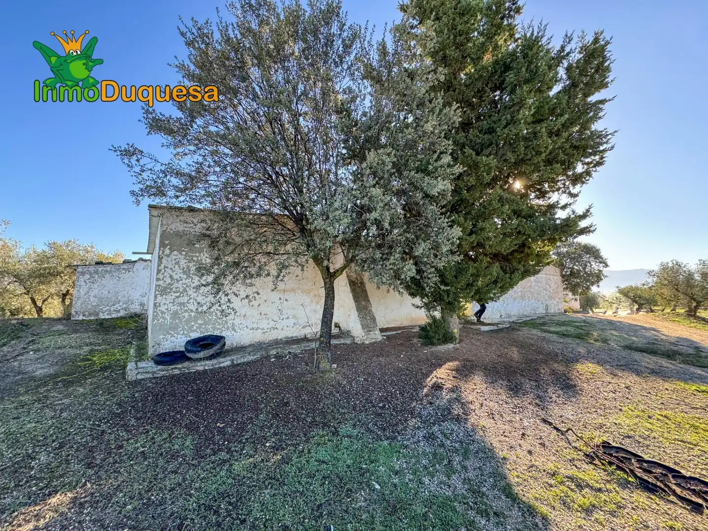 Casa rústica en venda a Camino Polígono 3 Parcela 51 MORA. LOJA (GRANADA) 3, imagen 8