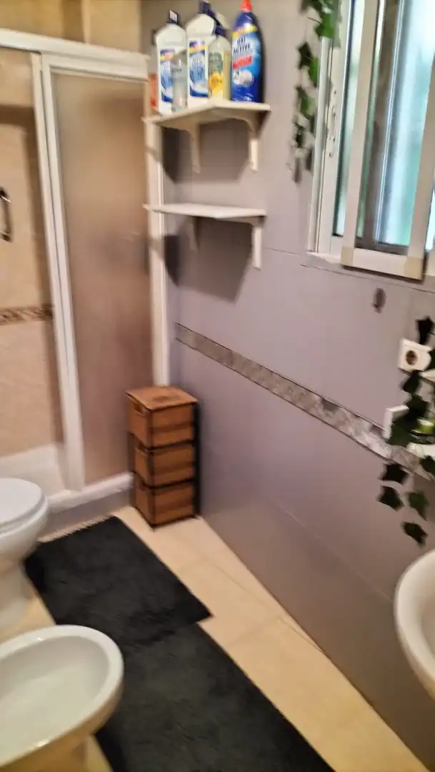 Bany de Planta baixa en venda en Centro