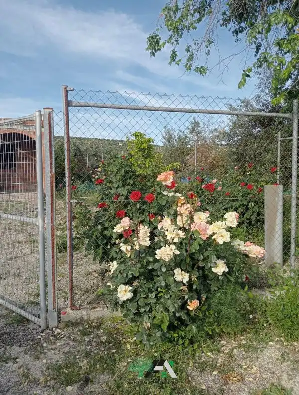 Terreni e lotti in vendita a Calle Poniente Obispo-Cl H, imagen 13