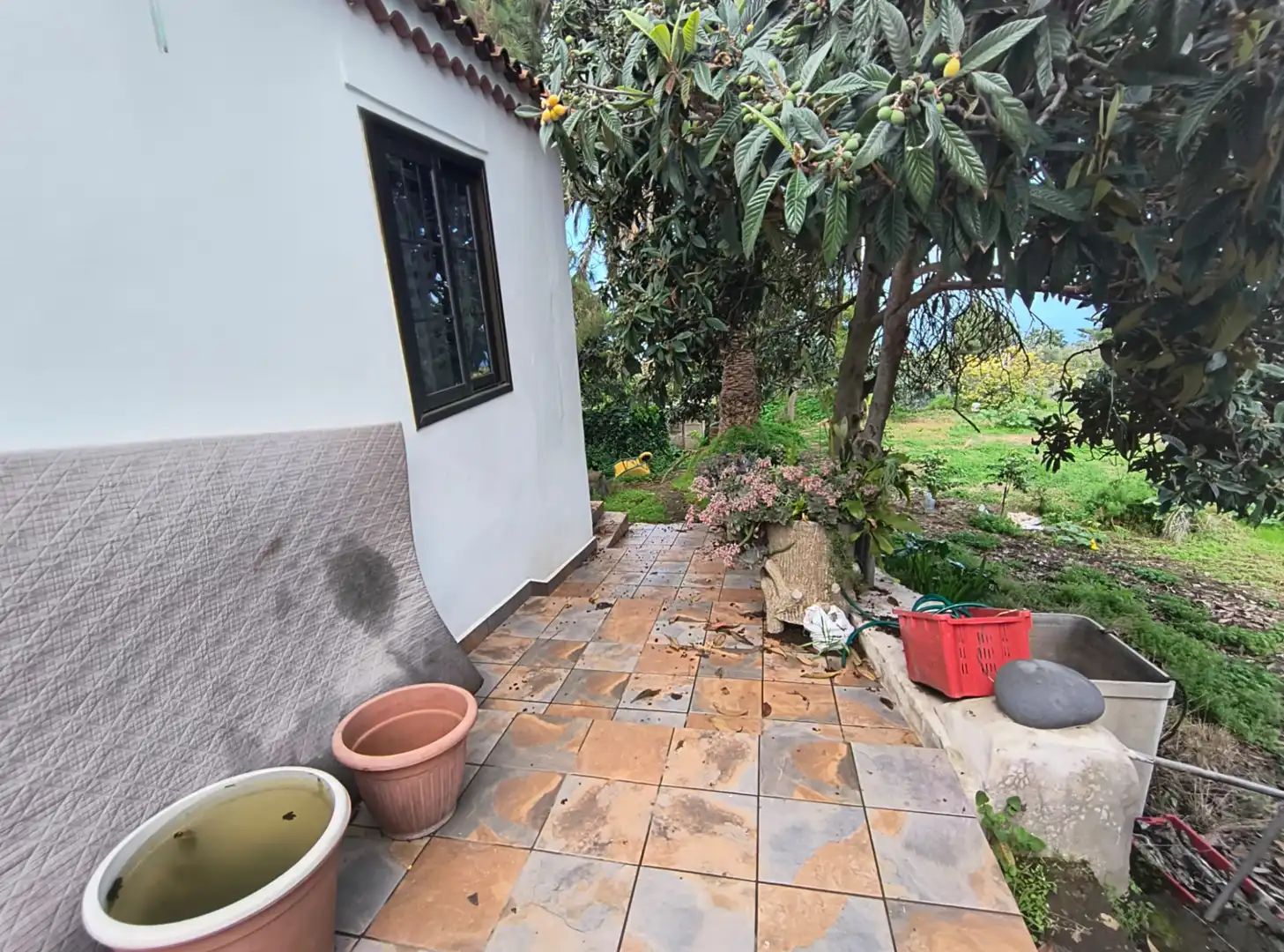 Garden of Houses for sale in La Orotava  with Private garden, Terrace and Storage room