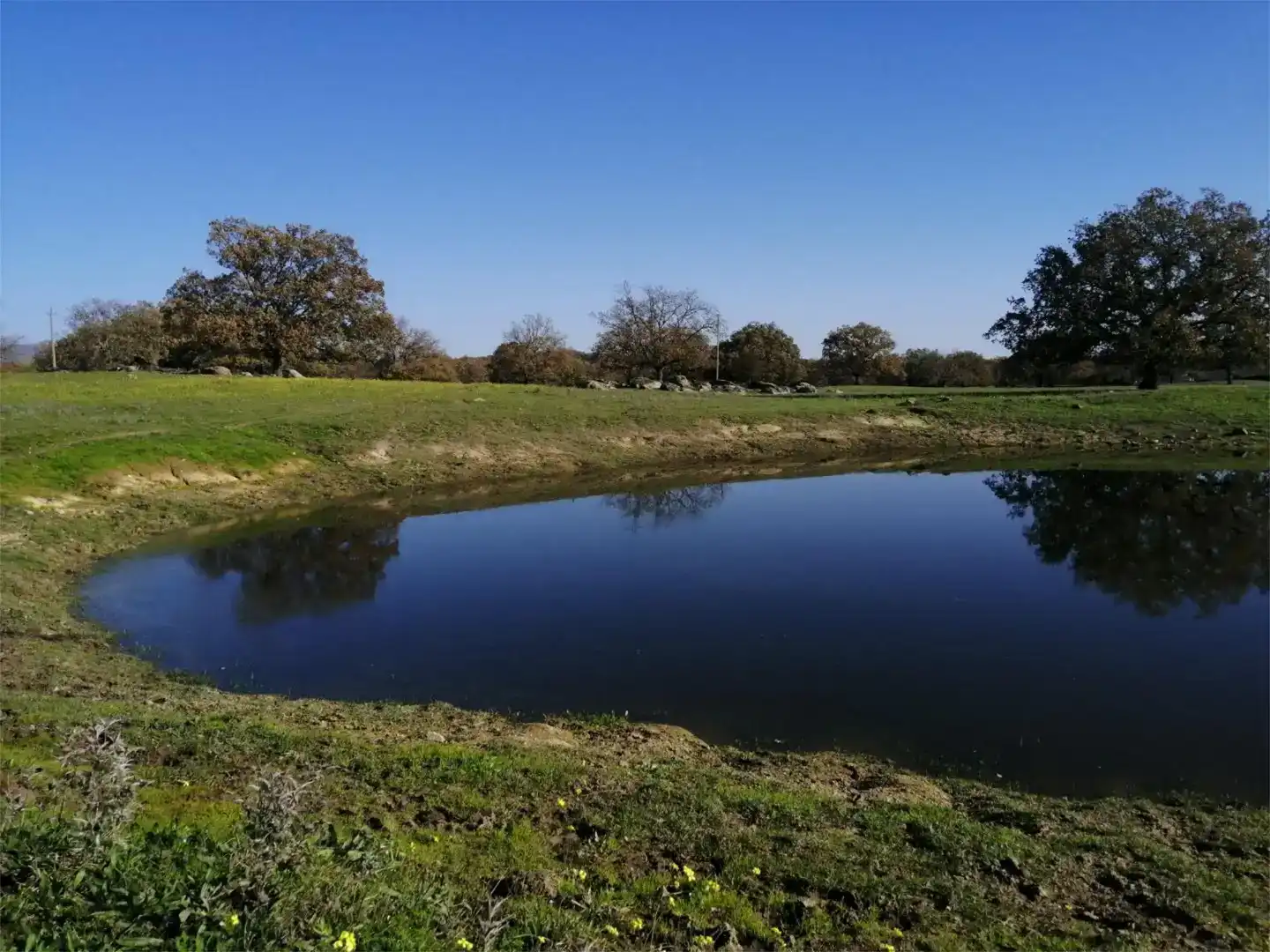 Terreno en venta en Gargüera, Cáceres