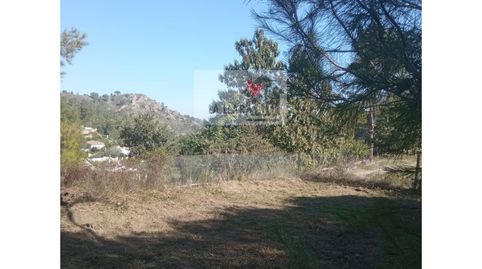 Foto 5 von Residential zum Verkauf in Partida Bixquert, El Genovés, Valencia