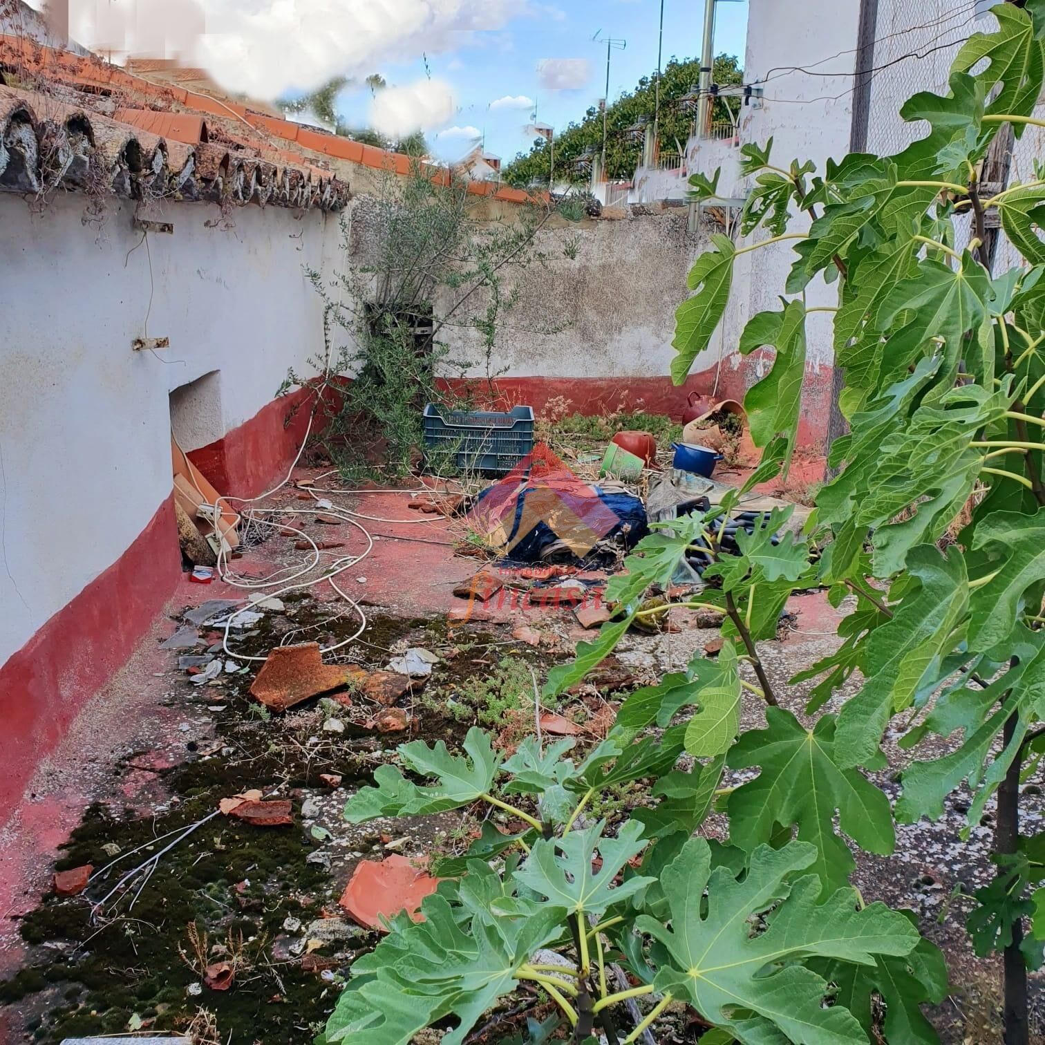 Garden of House or chalet for sale in Ronda