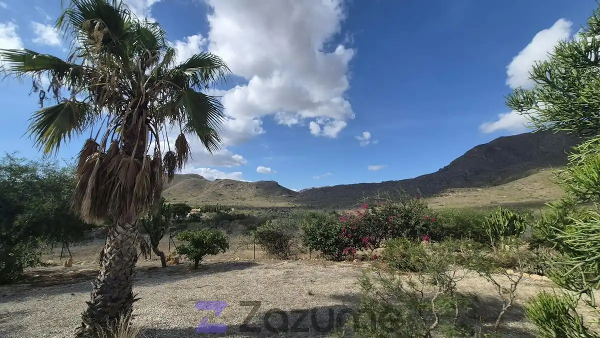 Houses for rent in Pedanías Oeste