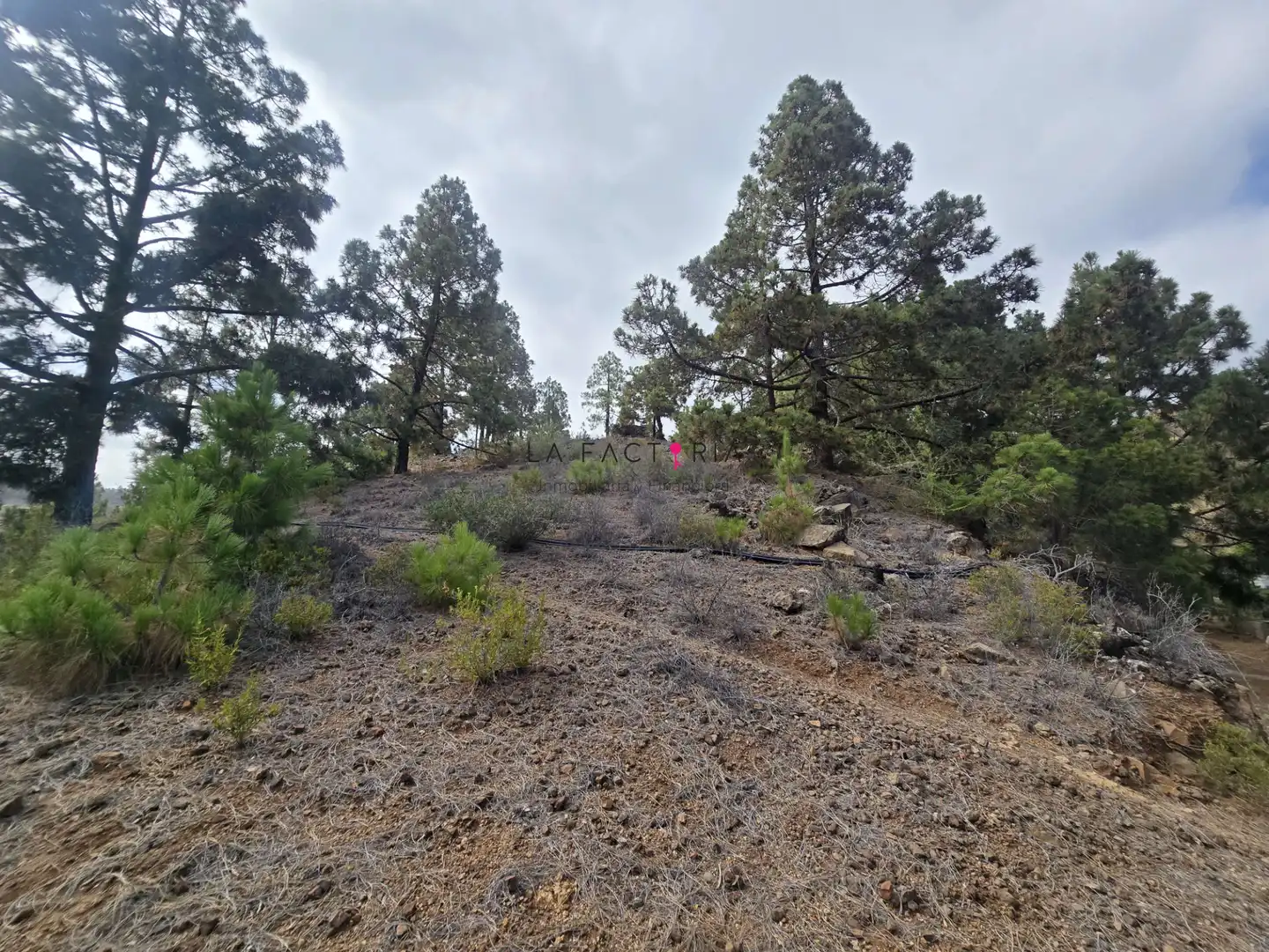 Terreno en venta en Cruz de Tea