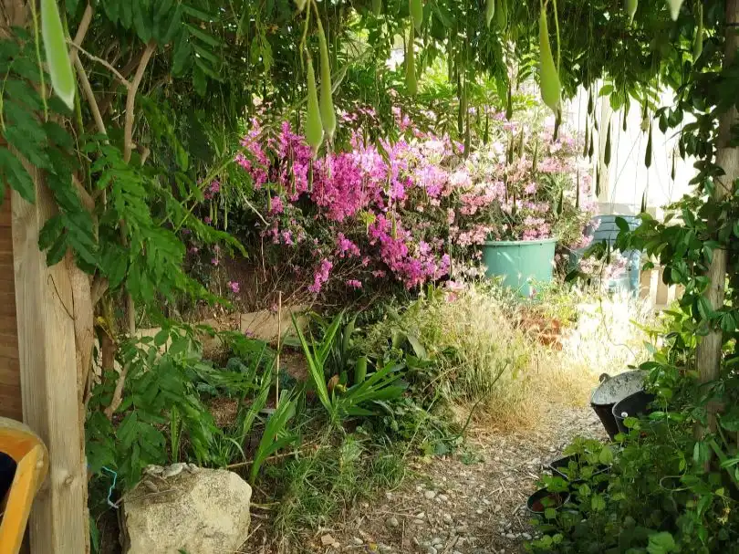 House with garden for sale in Carrer Illa 10, imagen 11