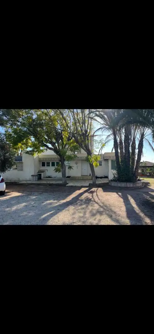 Vista exterior de Casa o chalet en venta en Elche / Elx con Aire acondicionado, Jardín privado y Terraza