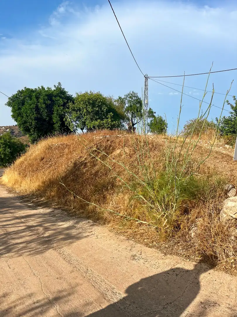 Country homes for sale in Comares