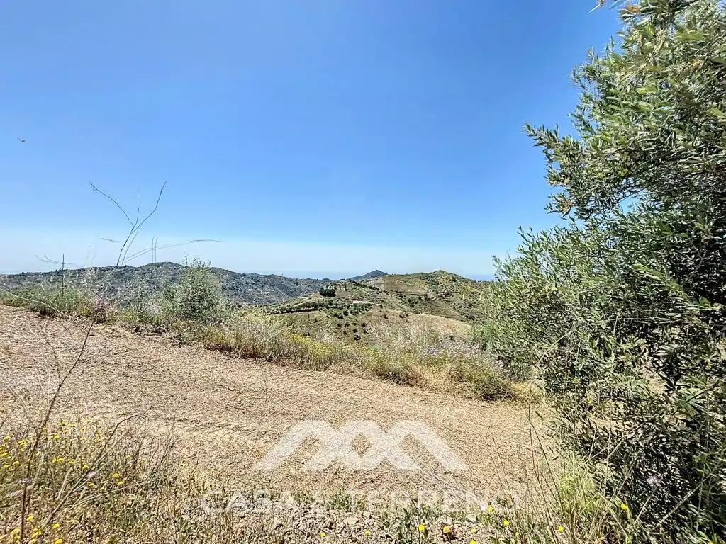 Land for sale in Canillas de Albaida