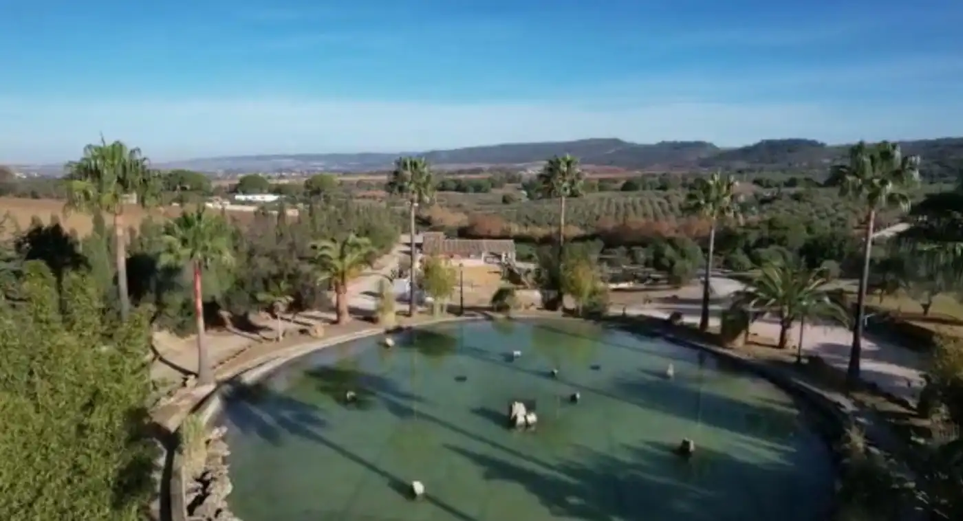Piscina de Finca rústica en venda en Arcos de la Frontera amb Calefacció, Terrassa i Traster