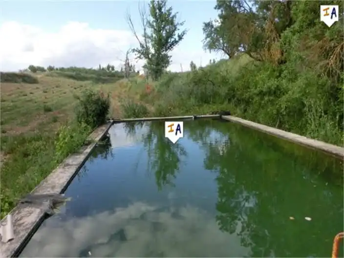 Casa rústica amb piscina en venda a Alcalá la Real, imagen 10
