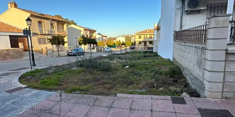 Terreny rústic en venda a Urbanización Los eucaliptos, imagen 4