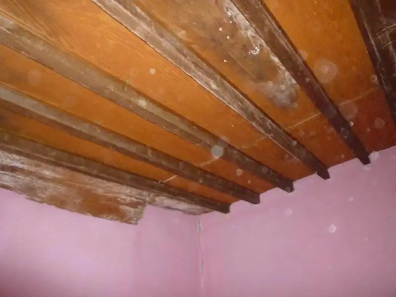 Terreno rustico in vendita a CV-925 24, imagen 30