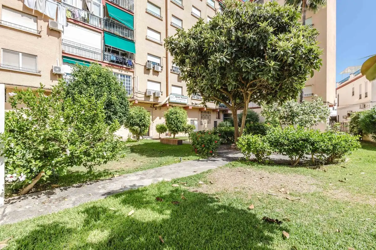 Pis amb jardí en venda a Calle Maestra Miret, imagen 24
