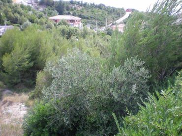 Terreni e lotti in vendita a El Pont de Vilomara i Rocafort