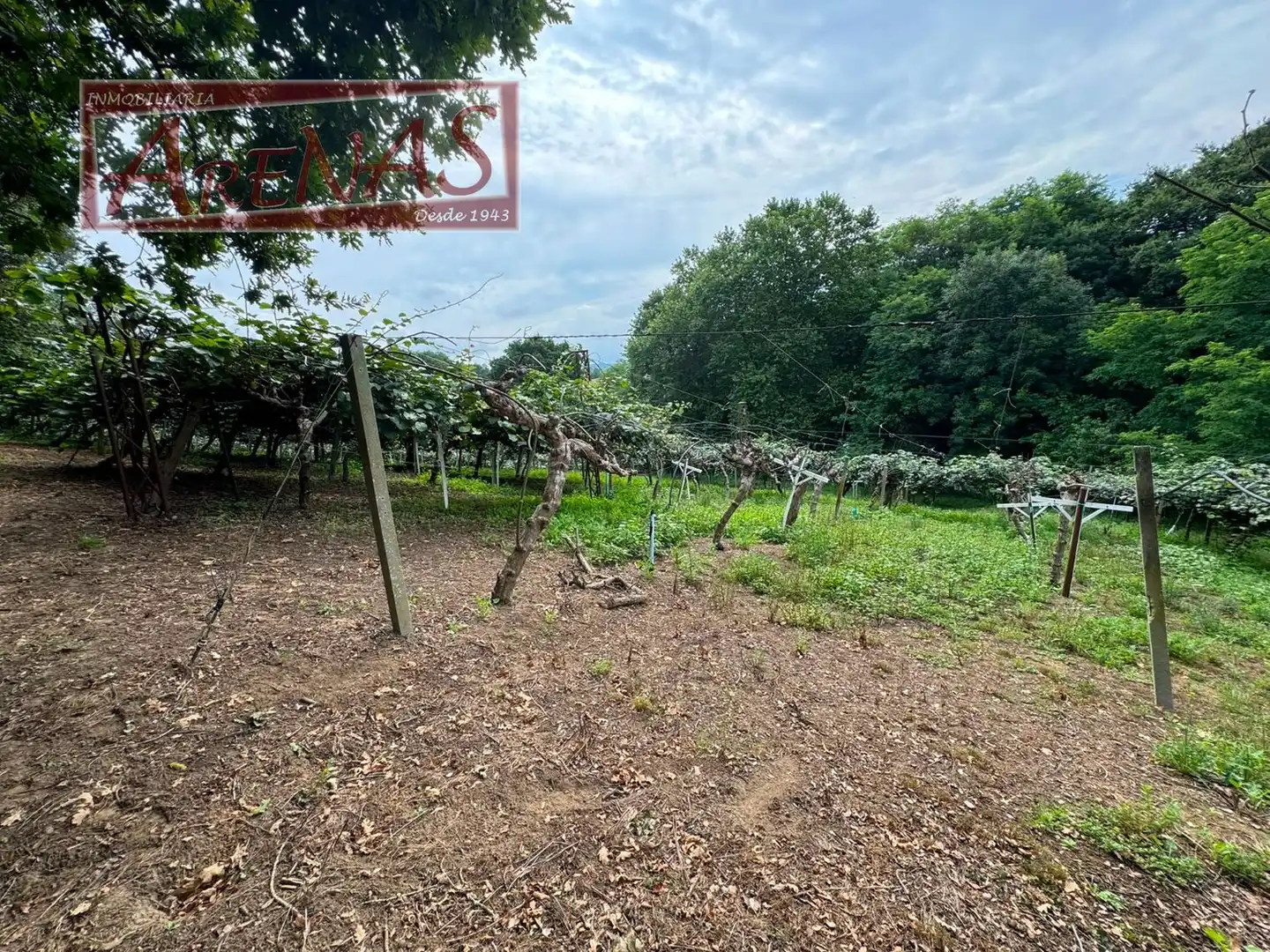 Land for sale in Marina de Cudeyo