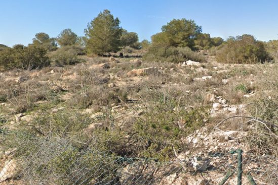 Land for sale in Los Montesinos