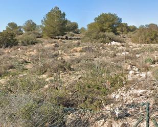 Land for sale in Los Montesinos