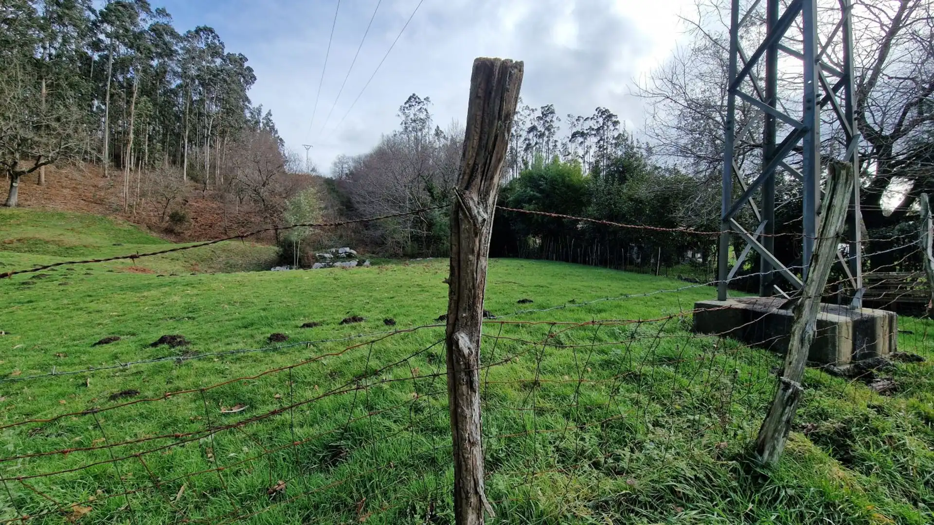 Finca rústica en venta en Reocín