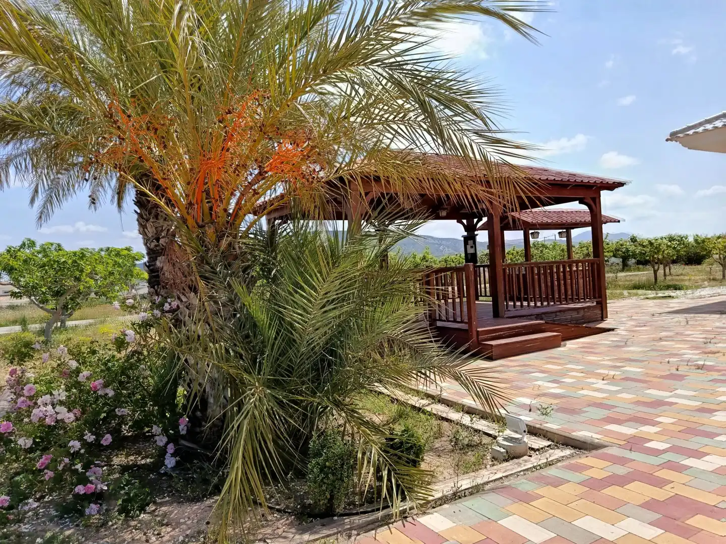 Detached house for sale in El Pinós / Pinoso, imagen 13