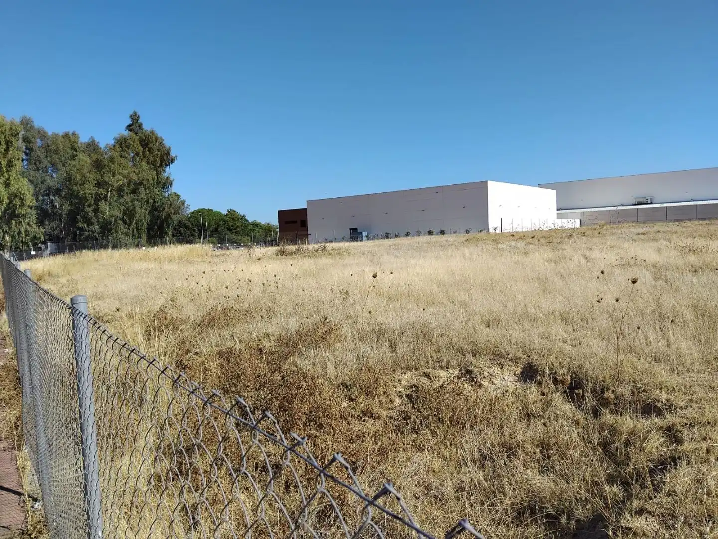 Vista exterior de Terreno industrial en venta en Carmona