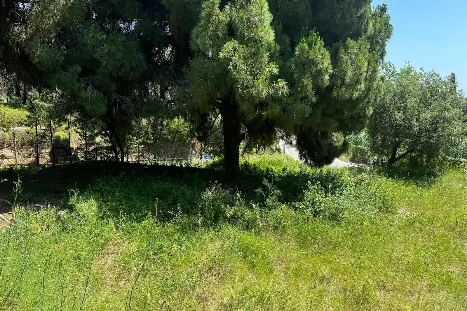 Terreny rústic en venda a Cabrera de Mar, imagen 13