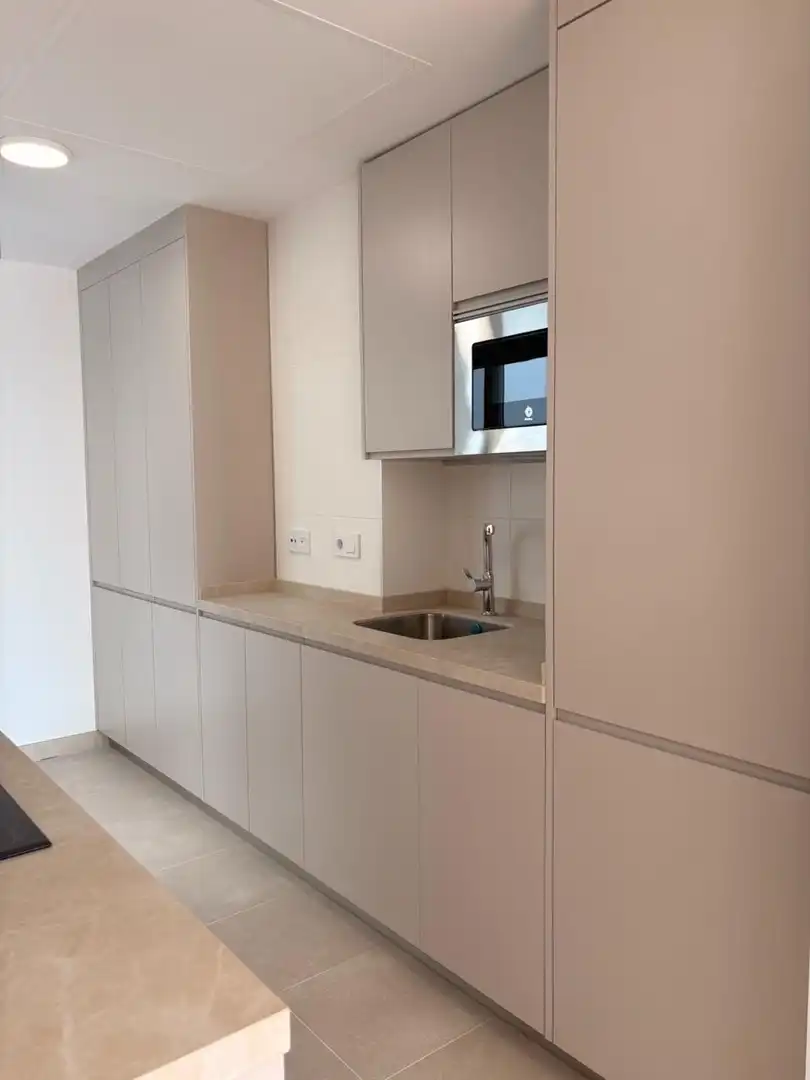 Flat with lift to rent in Avenida Avenida Ronda del Estero, imagen 14