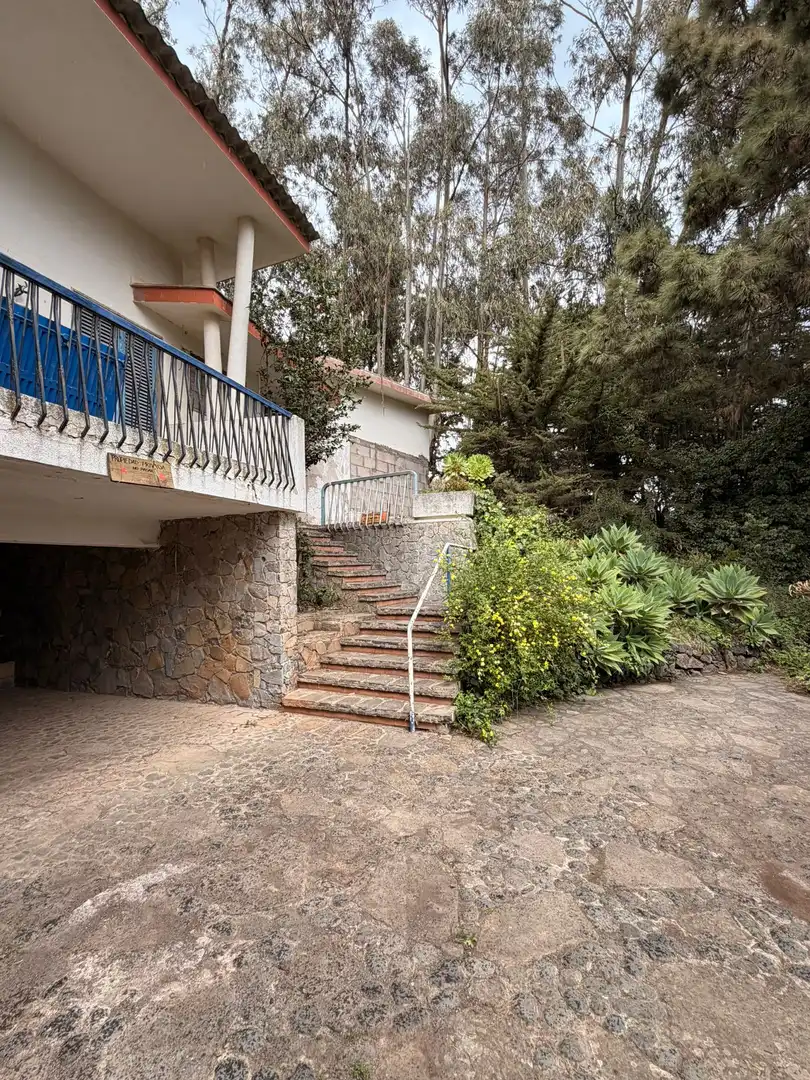Außenansicht von Haus oder Chalet zum Verkauf in El Rosario