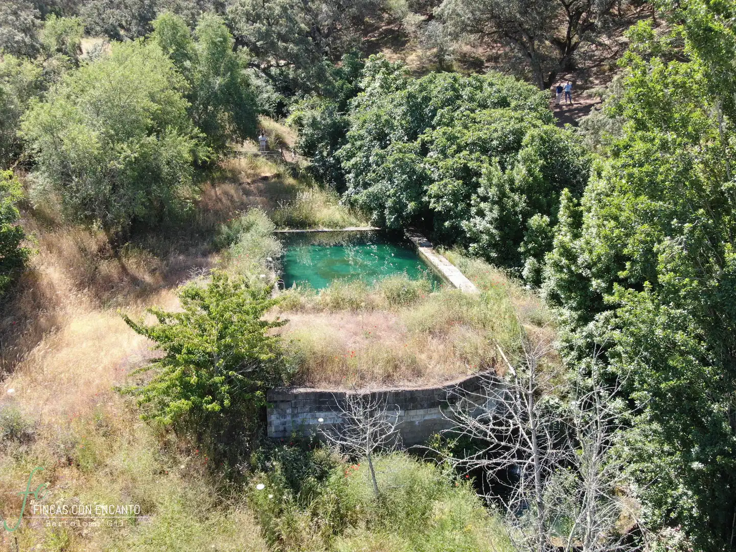 Country homes for sale in Cazalla de la Sierra  with Swimming Pool