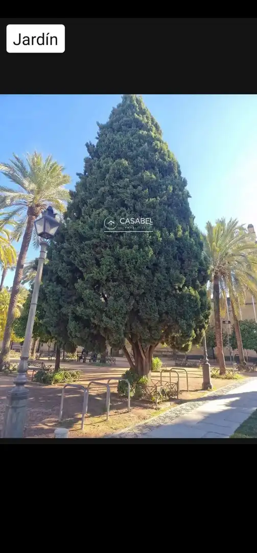 Jardín de Casa o chalet de alquiler en Córdoba con Terraza