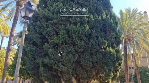 Foto 2 de Casa o xalet de lloguer a Calle Caballerizas Reales, Casco Histórico  - Ribera - San Basilio,  Córdoba Capital