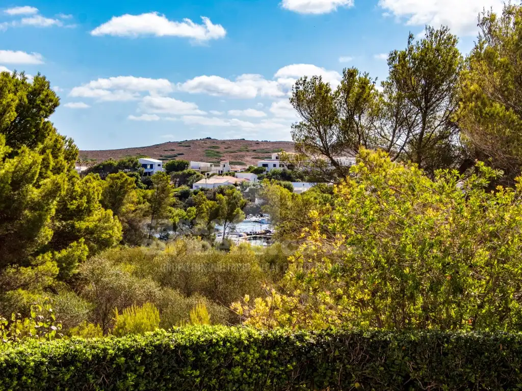 Vista exterior de Casa o xalet en venda en Es Mercadal amb Aire condicionat, Jardí privat i Terrassa