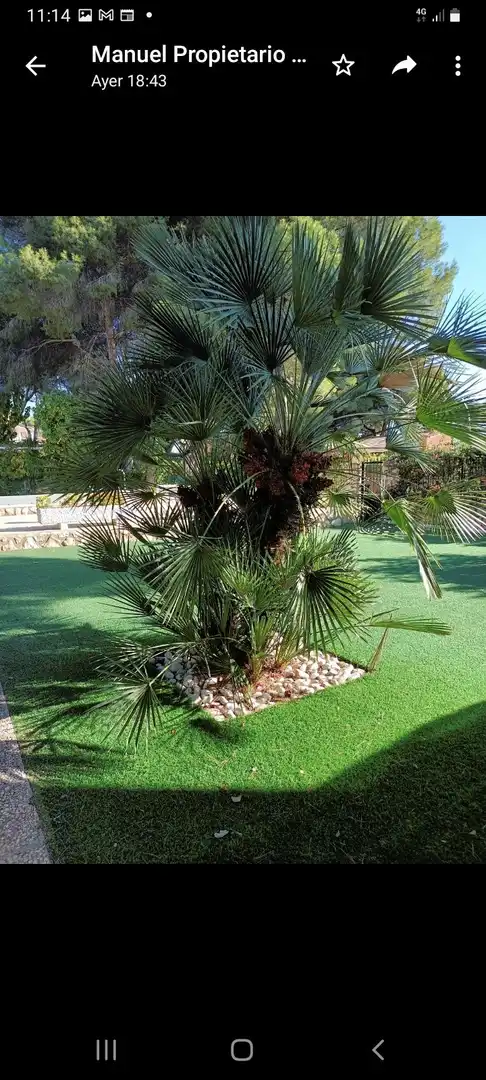 Casa amb piscina en venda a Orihuela Costa, imagen 39