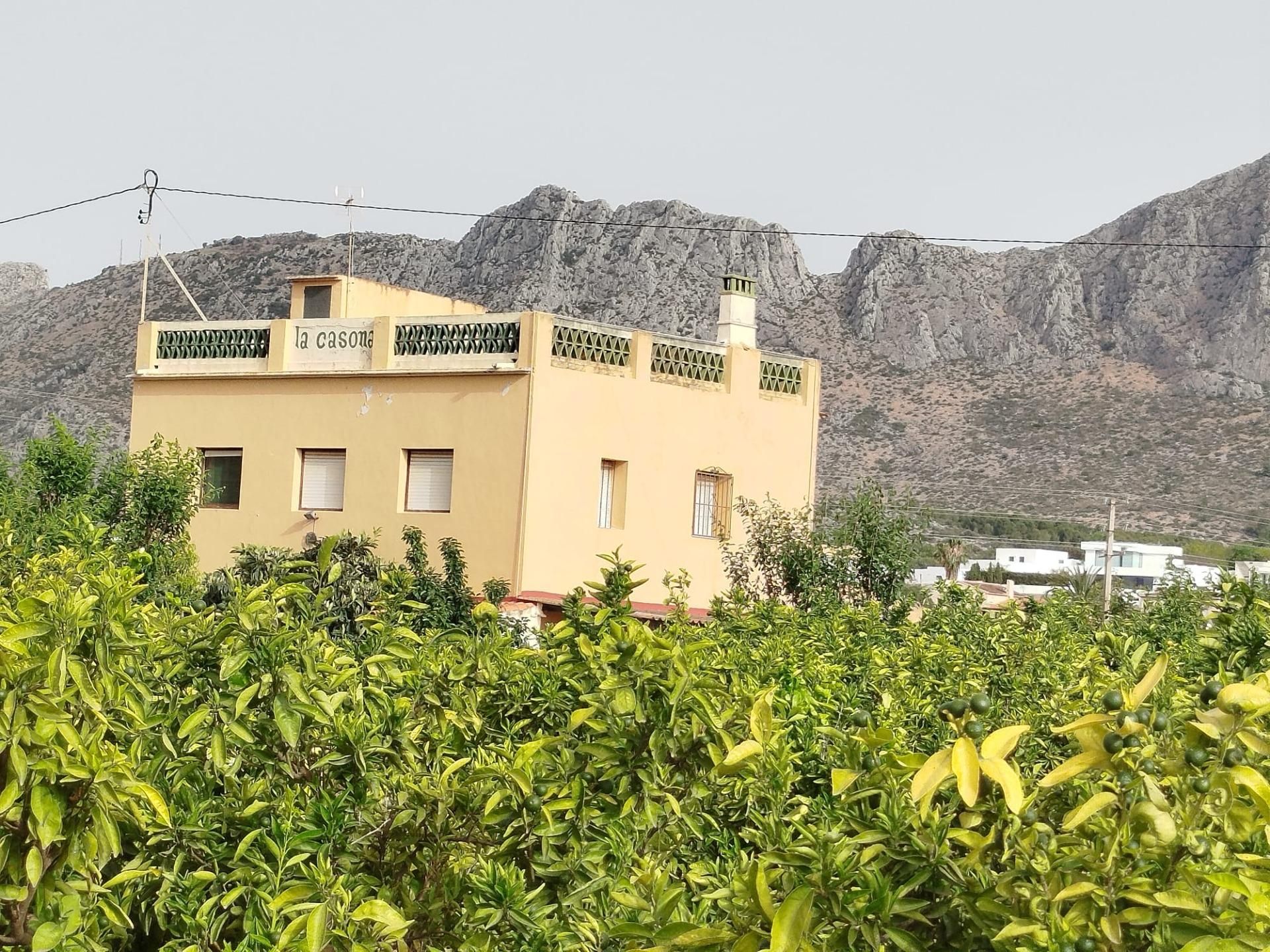 Vista exterior de Finca rústica en venda en Ondara amb Jardí privat