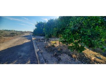 Terrain rustique à vendre à Puerto de Sagunto