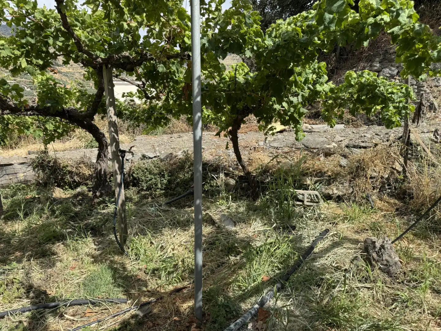 Terreny en venda en Ohanes
