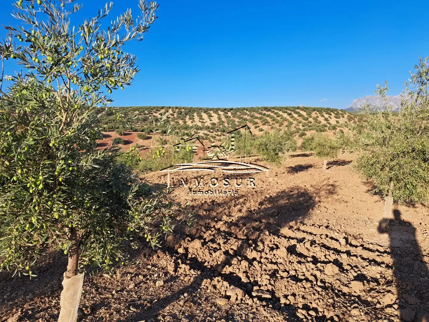 Terrain rustique à vendre à Las Vegas - Campoaras, imagen 2
