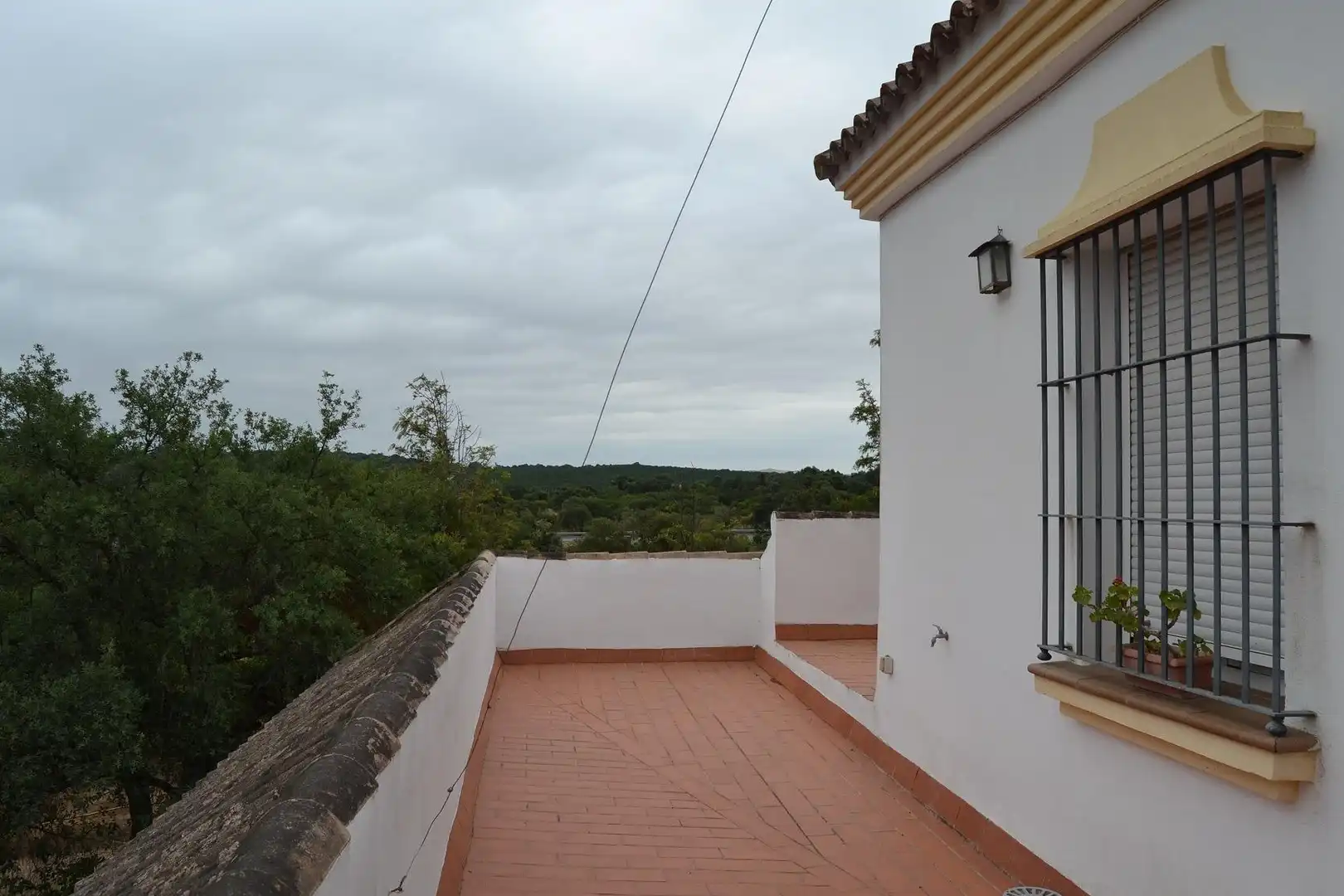 Casa rústica amb piscina en venda a Arcos de la Frontera, imagen 54