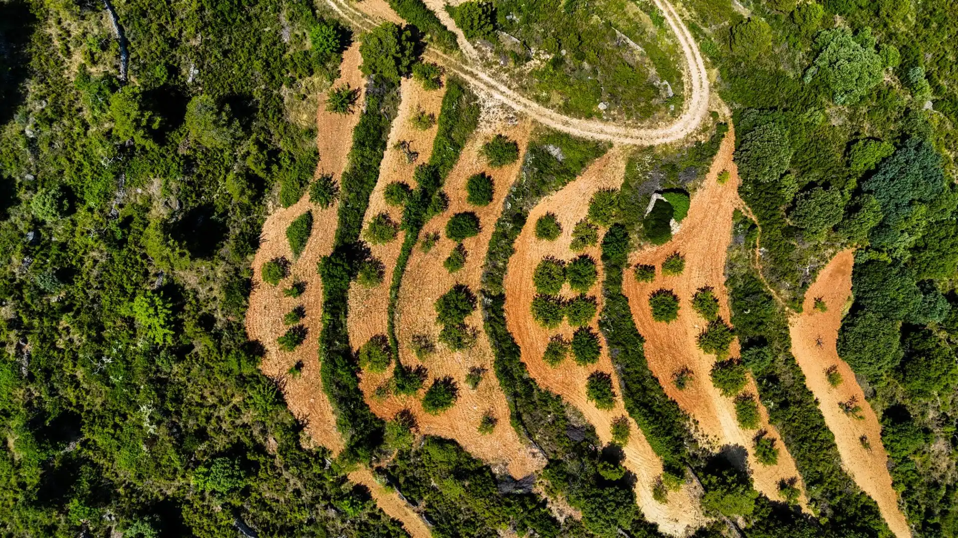 Residencial en venta en Sierra Engarcerán