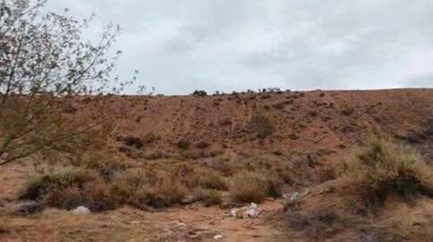Foto 3 de Finca rústica en venta en Paraje Plana de Torrero y Monte de Torre, Pinares de Venecia, Zaragoza Capital
