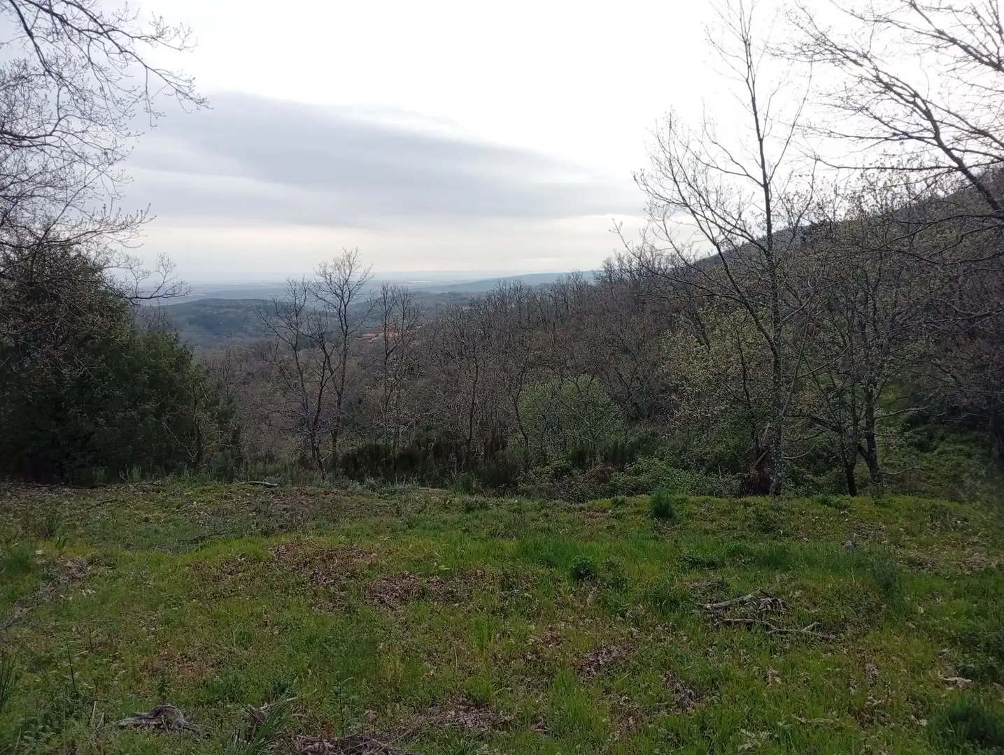Terreni e lotti in vendita a Valverde de la Vera, imagen 110