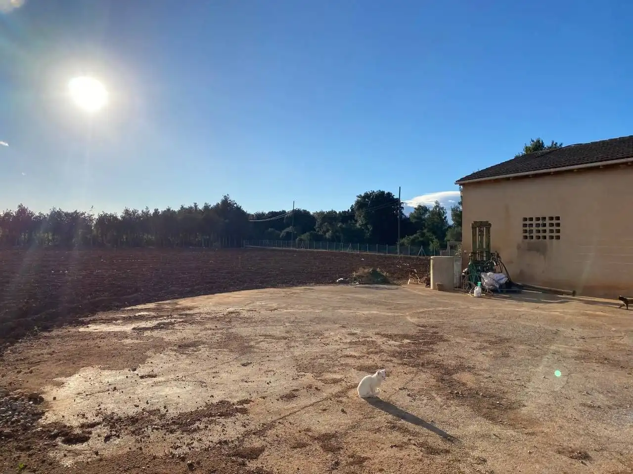 Wohnbaugrundstück zum Verkauf in Llubí, imagen 8