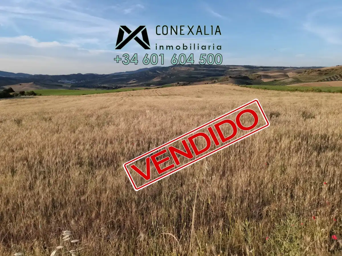 Casa rústica en venda a Setenil de las Bodegas