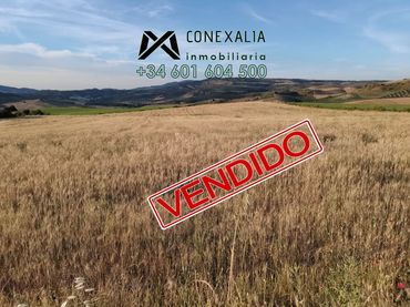 Casa rústica en venta en Setenil de las Bodegas