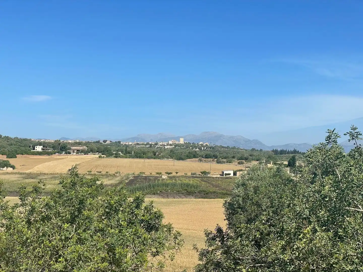 Vista exterior de Finca rústica en venta en Ariany con Jardín privado