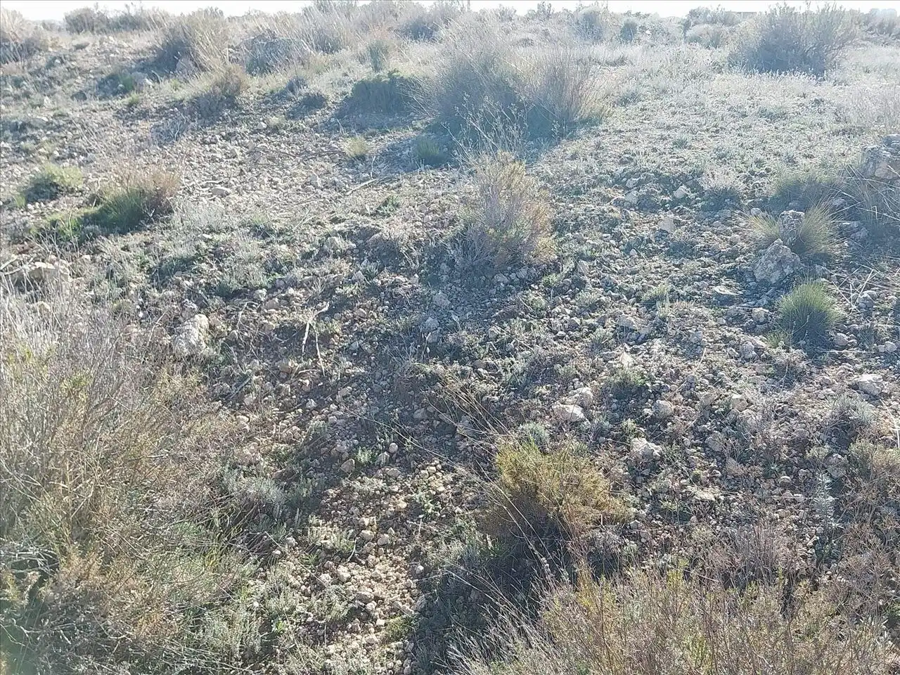 Terreni e lotti in vendita a Alto de la Muela Norte, imagen 10